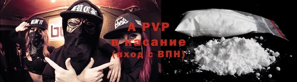СК Алексин