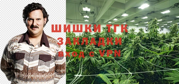 СК Алексин